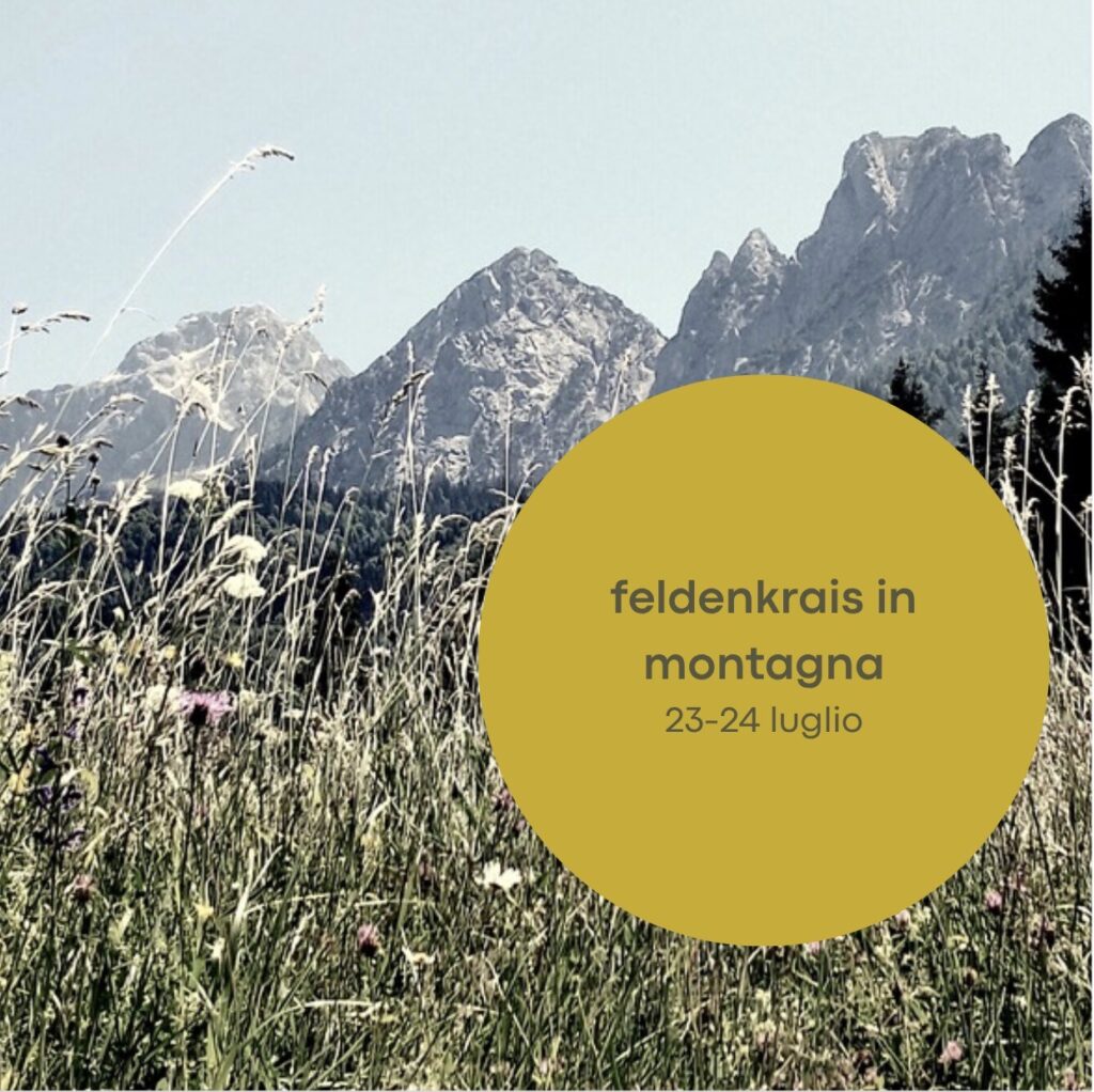 Torna anche quest'anno, alla sua IV edizione, l'appuntamento estivo nelle Alpi Giulie. Un'esperienza per chi cerca benessere attraverso il movimento, in un ambiente naturale piacevole ed accogliente. Il Metodo Feldenkrais insegna a ridurre gli sforzi e ottimizzare le capacità. È uno strumento ideale per prepararsi a camminare con energia, flessibilità e consapevolezza.